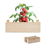 kit-de-creștere-a-roșiilor-într-o-ladă-din-lemn-promotional-personalizat